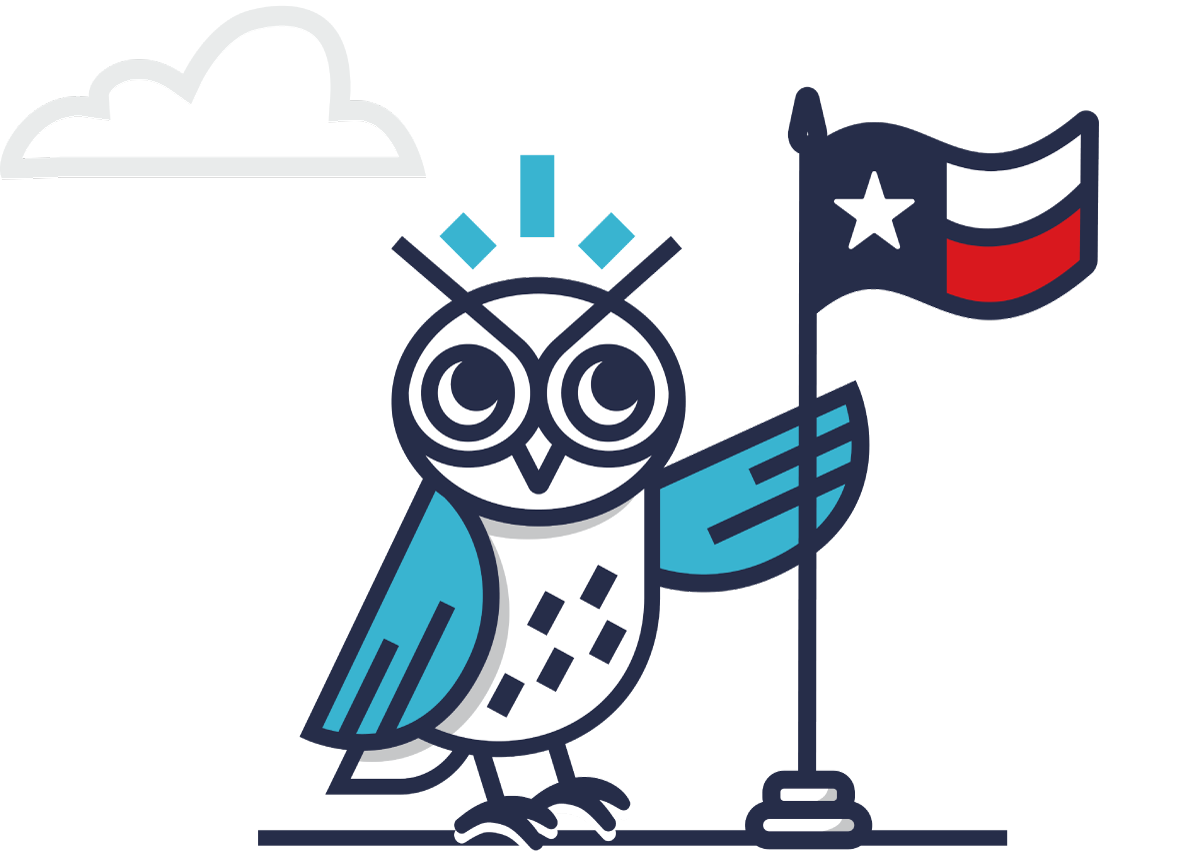 An illustrated owl holding the Texas flag