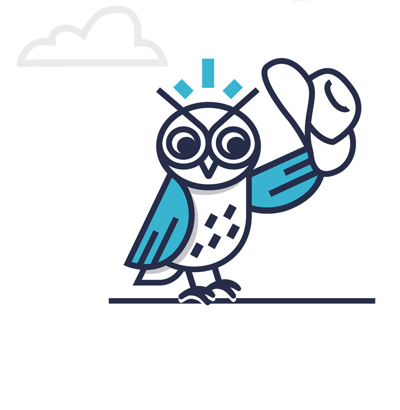 An illustrated owl tipping its cowboy hat to say howdy
